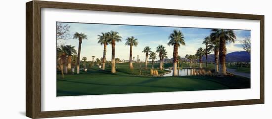 Palm Trees in Golf Course, Desert Springs Golf Course, Palm Springs, Riverside County, California-null-Framed Photographic Print