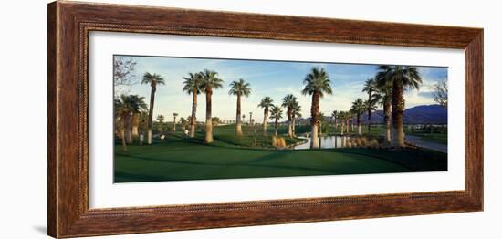 Palm Trees in Golf Course, Desert Springs Golf Course, Palm Springs, Riverside County, California-null-Framed Photographic Print