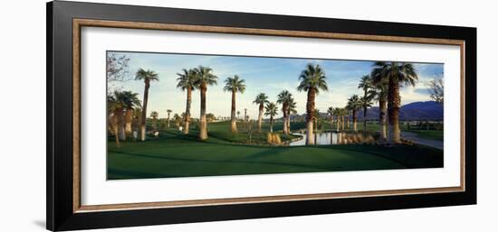 Palm Trees in Golf Course, Desert Springs Golf Course, Palm Springs, Riverside County, California-null-Framed Photographic Print