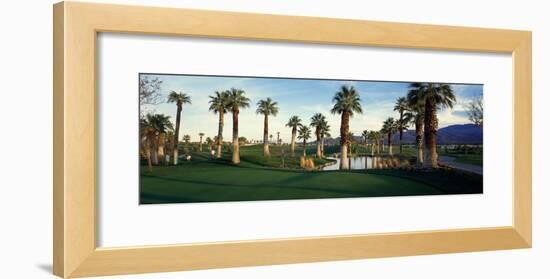 Palm Trees in Golf Course, Desert Springs Golf Course, Palm Springs, Riverside County, California-null-Framed Photographic Print