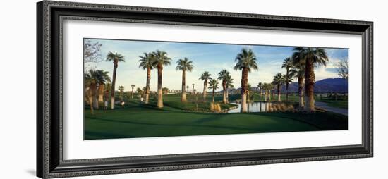 Palm Trees in Golf Course, Desert Springs Golf Course, Palm Springs, Riverside County, California-null-Framed Photographic Print