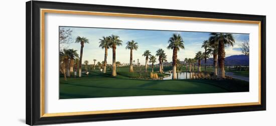 Palm Trees in Golf Course, Desert Springs Golf Course, Palm Springs, Riverside County, California-null-Framed Photographic Print