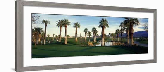 Palm Trees in Golf Course, Desert Springs Golf Course, Palm Springs, Riverside County, California-null-Framed Photographic Print