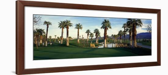 Palm Trees in Golf Course, Desert Springs Golf Course, Palm Springs, Riverside County, California-null-Framed Photographic Print