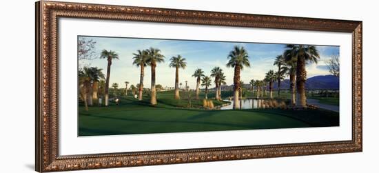 Palm Trees in Golf Course, Desert Springs Golf Course, Palm Springs, Riverside County, California-null-Framed Photographic Print