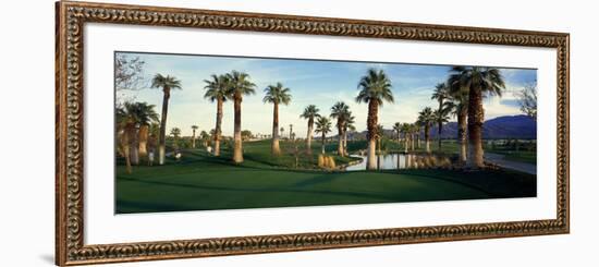 Palm Trees in Golf Course, Desert Springs Golf Course, Palm Springs, Riverside County, California-null-Framed Photographic Print