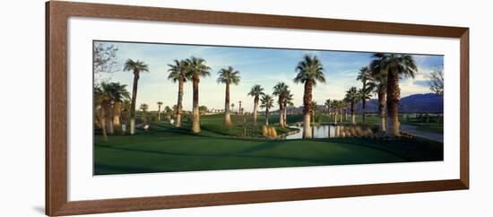 Palm Trees in Golf Course, Desert Springs Golf Course, Palm Springs, Riverside County, California--Framed Photographic Print