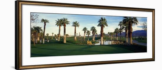 Palm Trees in Golf Course, Desert Springs Golf Course, Palm Springs, Riverside County, California-null-Framed Photographic Print