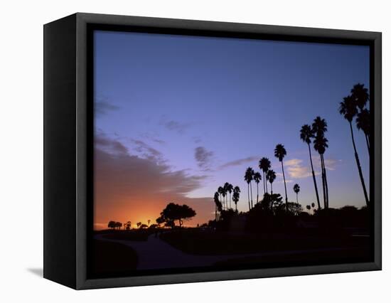 Palm Trees in Silhouette in Park on Bluff Overlooking the Pacific Ocean, Santa Barbara, California-Aaron McCoy-Framed Premier Image Canvas