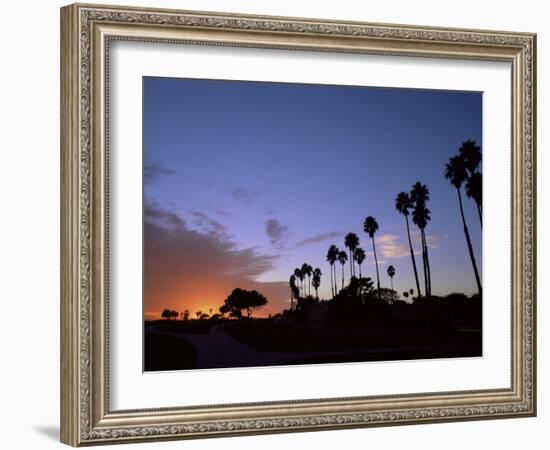 Palm Trees in Silhouette in Park on Bluff Overlooking the Pacific Ocean, Santa Barbara, California-Aaron McCoy-Framed Photographic Print