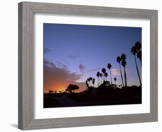 Palm Trees in Silhouette in Park on Bluff Overlooking the Pacific Ocean, Santa Barbara, California-Aaron McCoy-Framed Photographic Print