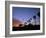 Palm Trees in Silhouette in Park on Bluff Overlooking the Pacific Ocean, Santa Barbara, California-Aaron McCoy-Framed Photographic Print