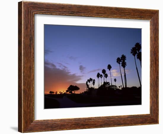 Palm Trees in Silhouette in Park on Bluff Overlooking the Pacific Ocean, Santa Barbara, California-Aaron McCoy-Framed Photographic Print