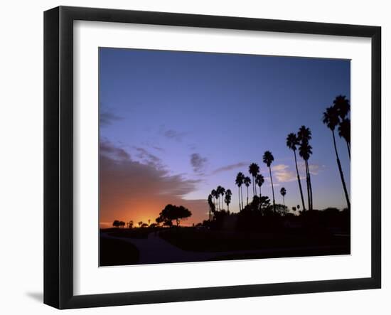 Palm Trees in Silhouette in Park on Bluff Overlooking the Pacific Ocean, Santa Barbara, California-Aaron McCoy-Framed Photographic Print