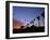 Palm Trees in Silhouette in Park on Bluff Overlooking the Pacific Ocean, Santa Barbara, California-Aaron McCoy-Framed Photographic Print