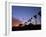 Palm Trees in Silhouette in Park on Bluff Overlooking the Pacific Ocean, Santa Barbara, California-Aaron McCoy-Framed Photographic Print