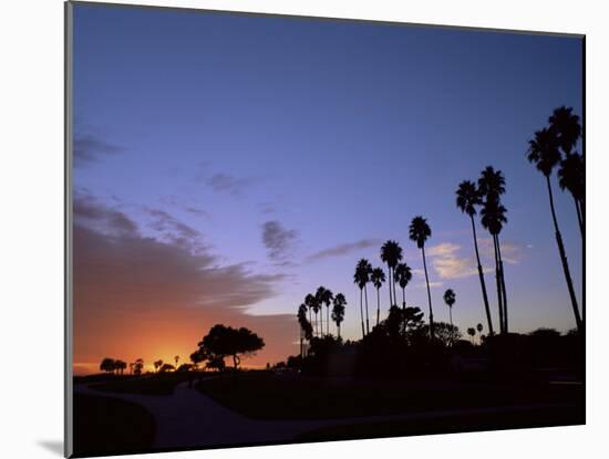 Palm Trees in Silhouette in Park on Bluff Overlooking the Pacific Ocean, Santa Barbara, California-Aaron McCoy-Mounted Photographic Print