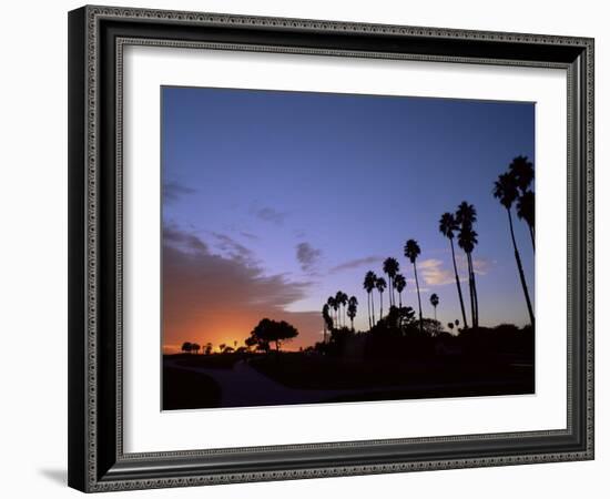 Palm Trees in Silhouette in Park on Bluff Overlooking the Pacific Ocean, Santa Barbara, California-Aaron McCoy-Framed Photographic Print