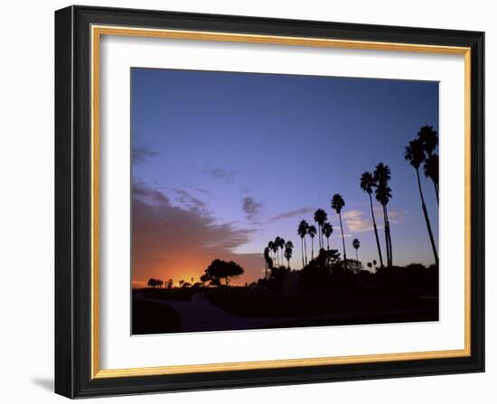 Palm Trees in Silhouette in Park on Bluff Overlooking the Pacific Ocean, Santa Barbara, California-Aaron McCoy-Framed Photographic Print