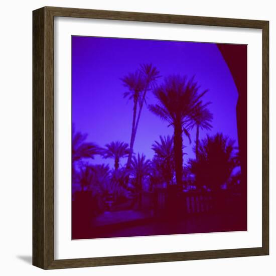 Palm Trees in Silhouette, Photographed Through Blue Glass Window, Ouarzazate, Morocco-Lee Frost-Framed Photographic Print