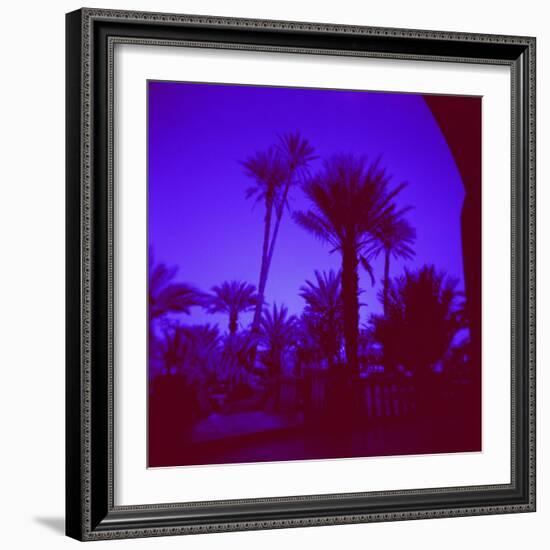 Palm Trees in Silhouette, Photographed Through Blue Glass Window, Ouarzazate, Morocco-Lee Frost-Framed Photographic Print