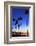 Palm trees, La Jolla Shores Beach, La Jolla, San Diego, California, United States of America, North-Richard Cummins-Framed Photographic Print