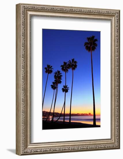 Palm trees, La Jolla Shores Beach, La Jolla, San Diego, California, United States of America, North-Richard Cummins-Framed Photographic Print