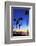 Palm trees, La Jolla Shores Beach, La Jolla, San Diego, California, United States of America, North-Richard Cummins-Framed Photographic Print