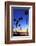 Palm trees, La Jolla Shores Beach, La Jolla, San Diego, California, United States of America, North-Richard Cummins-Framed Photographic Print