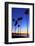 Palm trees, La Jolla Shores Beach, La Jolla, San Diego, California, United States of America, North-Richard Cummins-Framed Photographic Print