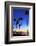 Palm trees, La Jolla Shores Beach, La Jolla, San Diego, California, United States of America, North-Richard Cummins-Framed Photographic Print