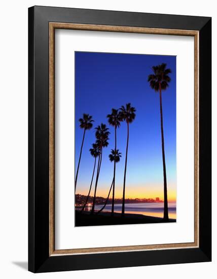 Palm trees, La Jolla Shores Beach, La Jolla, San Diego, California, United States of America, North-Richard Cummins-Framed Photographic Print