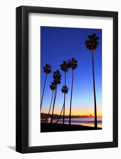 Palm trees, La Jolla Shores Beach, La Jolla, San Diego, California, United States of America, North-Richard Cummins-Framed Photographic Print