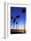 Palm trees, La Jolla Shores Beach, La Jolla, San Diego, California, United States of America, North-Richard Cummins-Framed Photographic Print