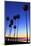 Palm trees, La Jolla Shores Beach, La Jolla, San Diego, California, United States of America, North-Richard Cummins-Mounted Photographic Print
