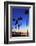 Palm trees, La Jolla Shores Beach, La Jolla, San Diego, California, United States of America, North-Richard Cummins-Framed Photographic Print