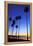 Palm trees, La Jolla Shores Beach, La Jolla, San Diego, California, United States of America, North-Richard Cummins-Framed Premier Image Canvas