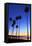 Palm trees, La Jolla Shores Beach, La Jolla, San Diego, California, United States of America, North-Richard Cummins-Framed Premier Image Canvas