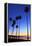 Palm trees, La Jolla Shores Beach, La Jolla, San Diego, California, United States of America, North-Richard Cummins-Framed Premier Image Canvas