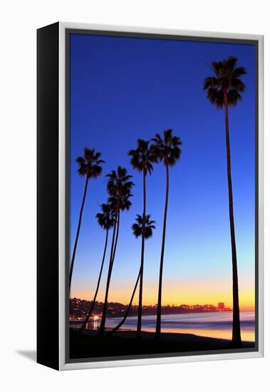 Palm trees, La Jolla Shores Beach, La Jolla, San Diego, California, United States of America, North-Richard Cummins-Framed Premier Image Canvas