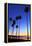 Palm trees, La Jolla Shores Beach, La Jolla, San Diego, California, United States of America, North-Richard Cummins-Framed Premier Image Canvas