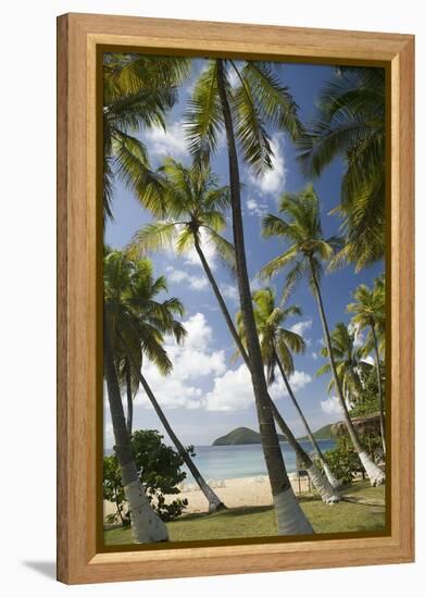 Palm Trees, Lambert Beach, Tortola, British Virgin Islands-Macduff Everton-Framed Premier Image Canvas