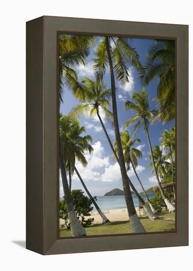 Palm Trees, Lambert Beach, Tortola, British Virgin Islands-Macduff Everton-Framed Premier Image Canvas