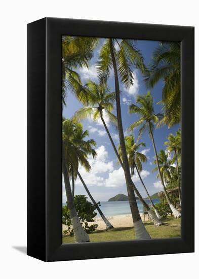 Palm Trees, Lambert Beach, Tortola, British Virgin Islands-Macduff Everton-Framed Premier Image Canvas