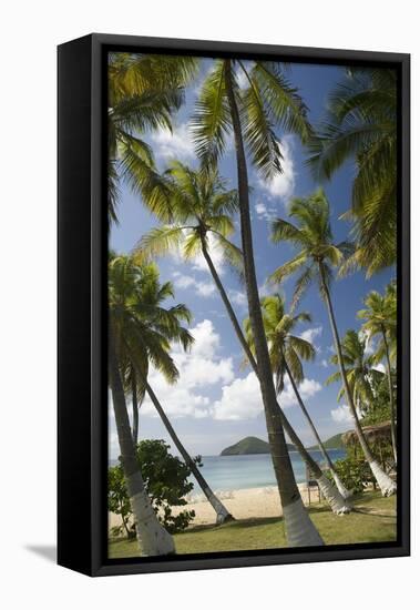 Palm Trees, Lambert Beach, Tortola, British Virgin Islands-Macduff Everton-Framed Premier Image Canvas