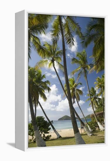 Palm Trees, Lambert Beach, Tortola, British Virgin Islands-Macduff Everton-Framed Premier Image Canvas