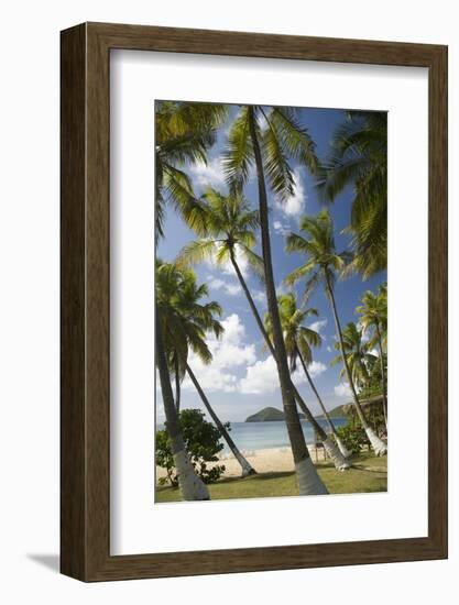 Palm Trees, Lambert Beach, Tortola, British Virgin Islands-Macduff Everton-Framed Photographic Print