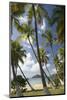 Palm Trees, Lambert Beach, Tortola, British Virgin Islands-Macduff Everton-Mounted Photographic Print