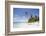 Palm trees lean over white sand, under a blue sky, on Bandos Island in The Maldives, Indian Ocean,-Stuart Forster-Framed Photographic Print