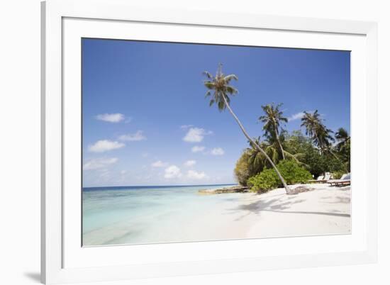 Palm trees lean over white sand, under a blue sky, on Bandos Island in The Maldives, Indian Ocean,-Stuart Forster-Framed Photographic Print
